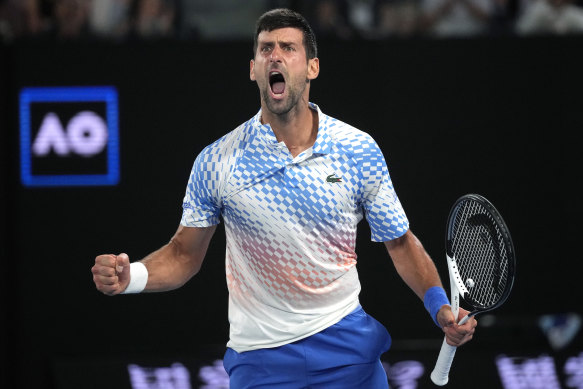 Novak Djokovic is chasing his 10th Australian Open crown and 22nd grand slam title.