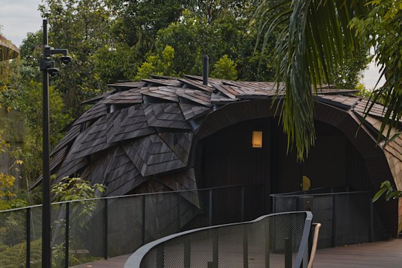 Into the rainforest.