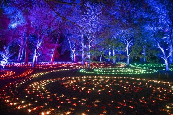 <i>Lightscape</i> is a ticketed night-time experience in Brisbane City Botanic Gardens.