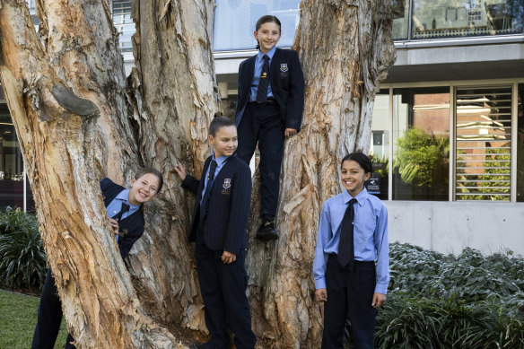 Students from years 3 to 12 at MLC Sydney can choose to wear pants as part of the school’s uniform updates this year.