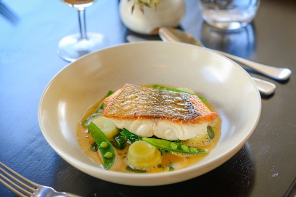 Fish with asparagus, snow peas, cauliflower and scallop sauce at South on Albany.