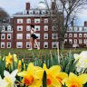 Harvard