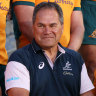 The shallow shame of Rugby Australia and its sacking of Dave Rennie