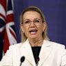 Opposition Leader Sussan Ley speaking at a press conference in Sydney on Wednesday. 
