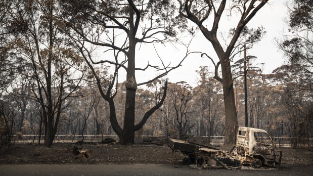 The Blue Mountains community of Dargan has been significantly damaged by the Gospers Mountain fire.