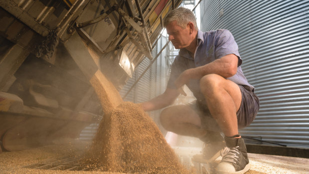 Craig Neale of Wholegrain Milling in Gunnedah, NSW.