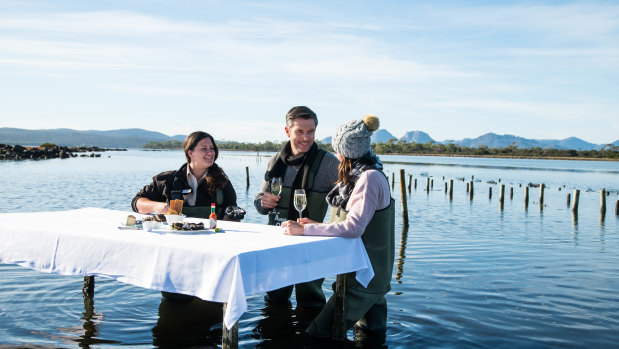 Julia and Giles Fisher came up with the idea of offering oyster-tasting over "a bottle of wine or two". Now they provide the experience to visitors, who can choose their own oysters and enjoy them out in the water .