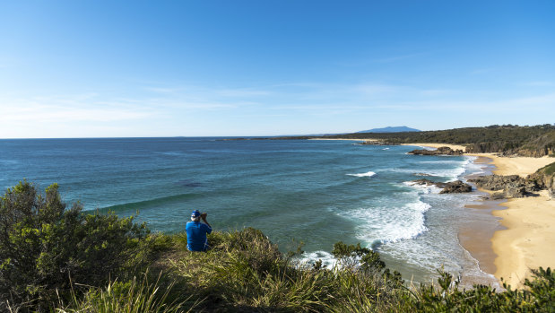 Andrew Nye looks for fish at Mullimburra Point on the NSW South Coast. 