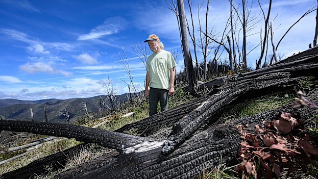 Cam Walker, from Friends of the Earth, stands in an area of bushland that was burnt two years ago.