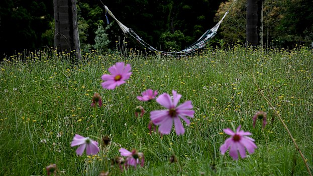 A hammock hangs between two trees in the popularly named “meadow” at Broughton Hall.