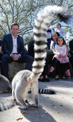 Opposition Leader Matthew Guy with his Sunbury candidate Cassandra Maher (right) at the zoo. 