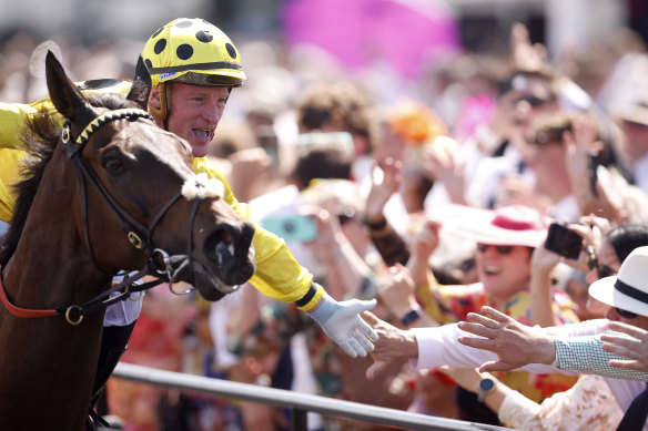 Melbourne Cup winner Without A Fight celebrates with the crowd.