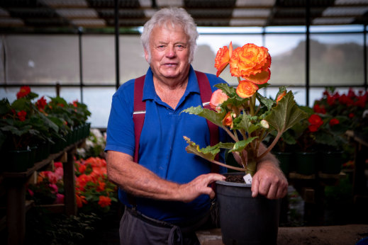 Grower Kevin Moneghetti with one of his bright begonias. 