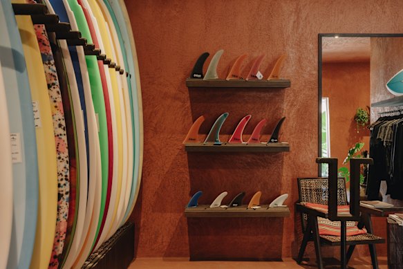 Go shopping for some new fins to Thomas Debrofs.