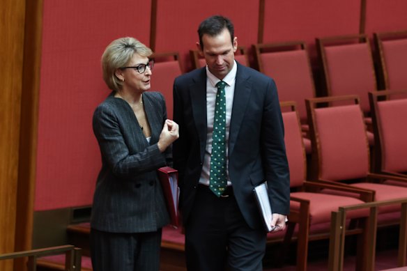 Nationals leader Matt Canavan speaks to Michaelia Cash in the Senate.