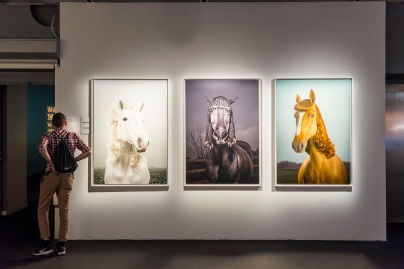 An exhibition at Fotografiska, Stockholm’s photography museum on the Stockholm quays.
