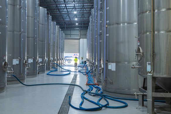 Cobram’s massive storage vats: company policy dictates taking no more than six hours for the olives to be moved from tree to tank.