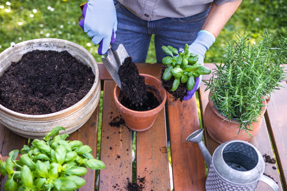 Easter is a great time to repot your plants and get your garden looking sellable.