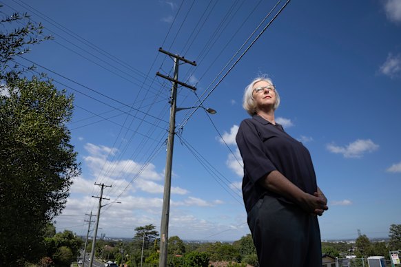 A vice-presidente da NSW Urban Design Association, Tanya Vincent, diz que as linhas de energia deveriam ser colocadas no subsolo. 