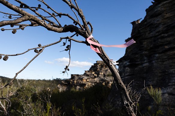 The proposed development site and path from the fire trail are marked with pink ribbons.