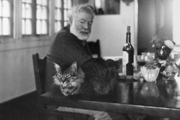 Ernest Hemingway sits at the table with Cristobal (cat).
