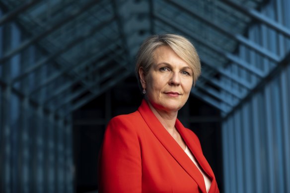 Environment Minister Tanya Plibersek. 