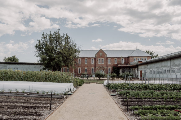 Kitchen garden in the Agrarian Kitchen.