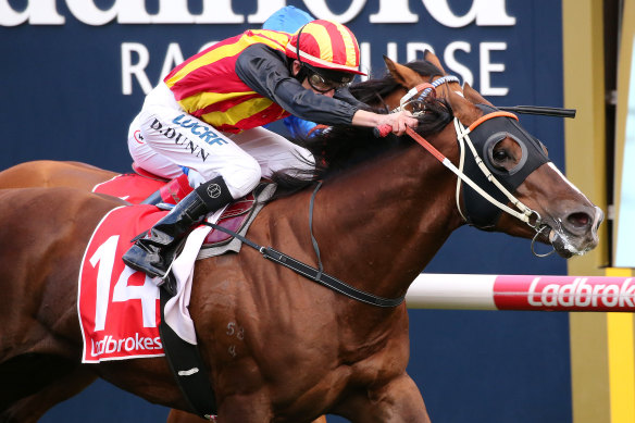 Show and go: Connections will target a group 1 win to enhance the stud prospects of Showtime.