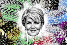Julie Bishop.