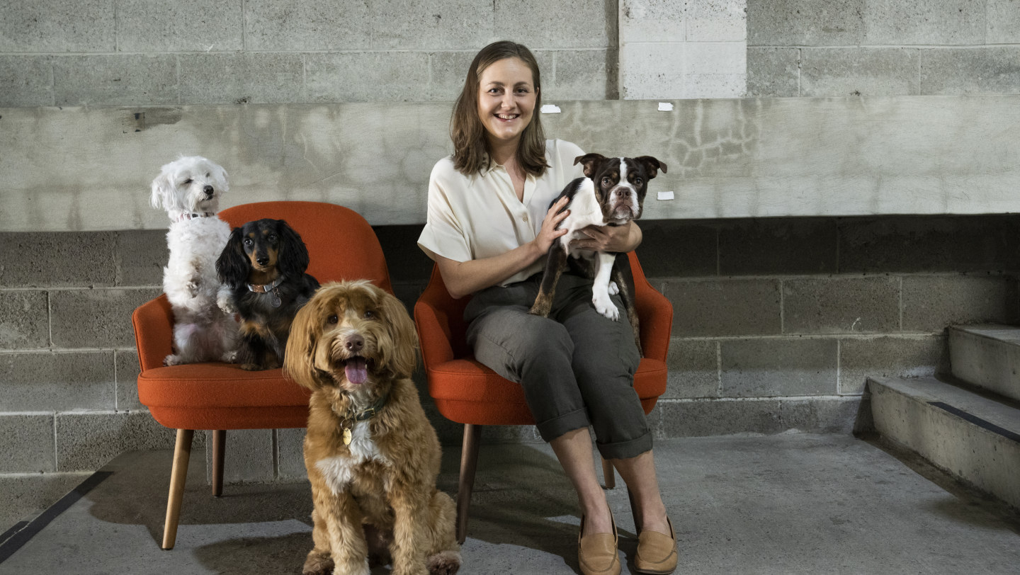 The notsosecret life of pets Lyka, Pet Circle, Greencross