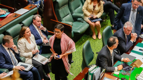 Greens MP Gabrielle de Vietri was asked to leave the floor of  parliament on May 7 for wearing a keffiyeh. 