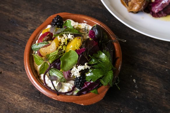 Charred beets, labneh, cumquat, lemon and ginger jam, orange blossom and candied nuts.