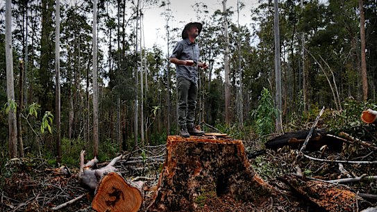 Forestry Corporation contractors assaulted forest activist Mark Graham.
