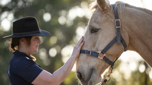 ‘They know what we’re feeling’: The horse lover taking on human trauma