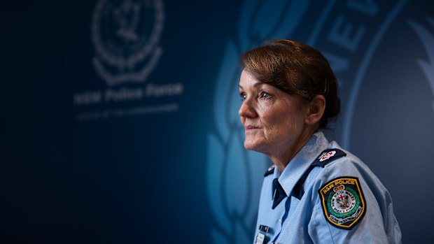 Retiring Police Commissioner Karen Webb has been appointed a special advisor to the state government on domestic violence.