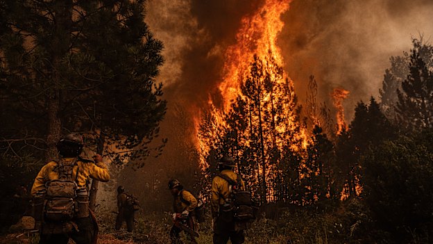 The American River Hotshot crew retreat as flames jump their containment line.