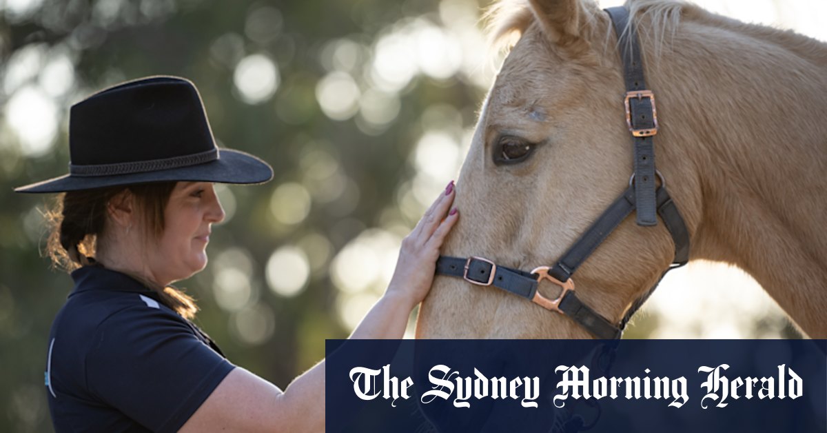 How Sydney Equine Assisted Learning is tackling mental health with horses - Vimarsana News