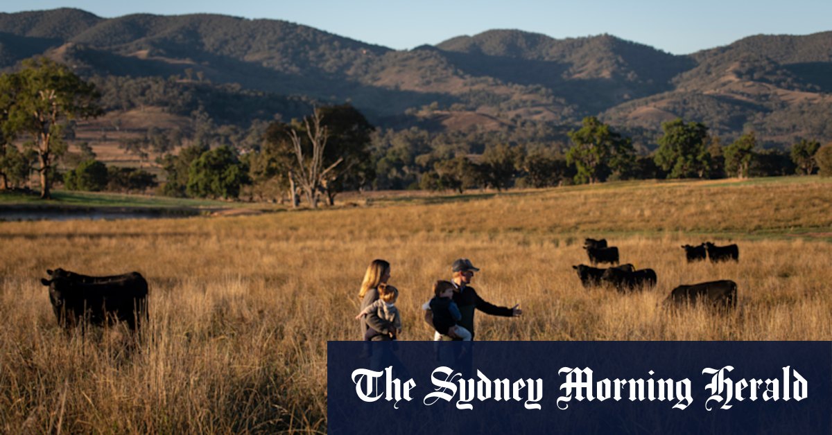 Mudgee mine: Lead risk fears over proposed Bowdens Silver project - Vimarsana News