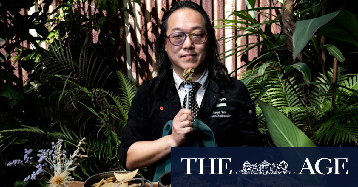 Would you like insects with that? This chef hopes you do - Vimarsana News