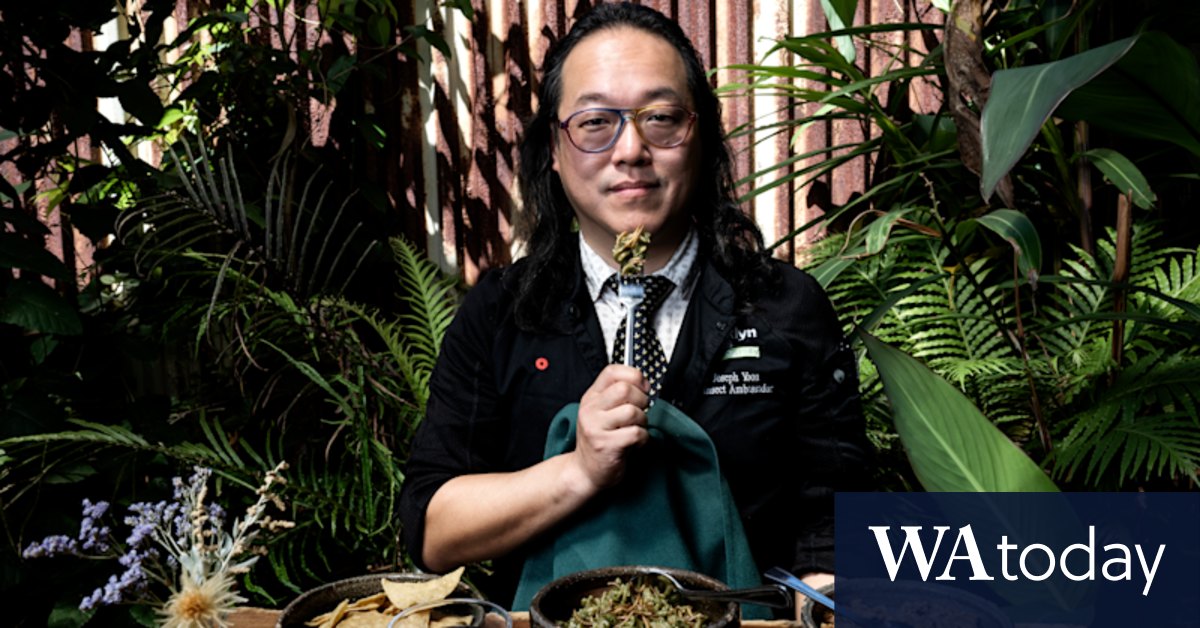 Would you like insects with that? This chef hopes you do - Vimarsana News