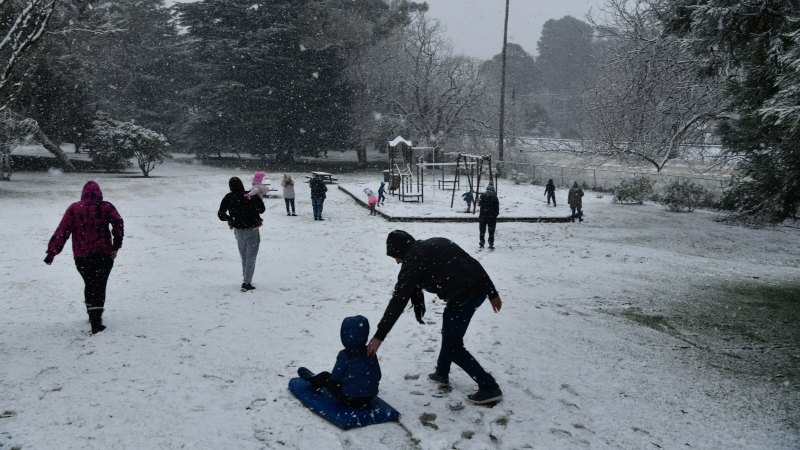 Nsw Snow Sydney Shivers Through Coldest Day Since 1984