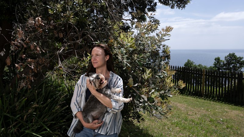 Eastern suburbs council votes to trade native trees for ocean views