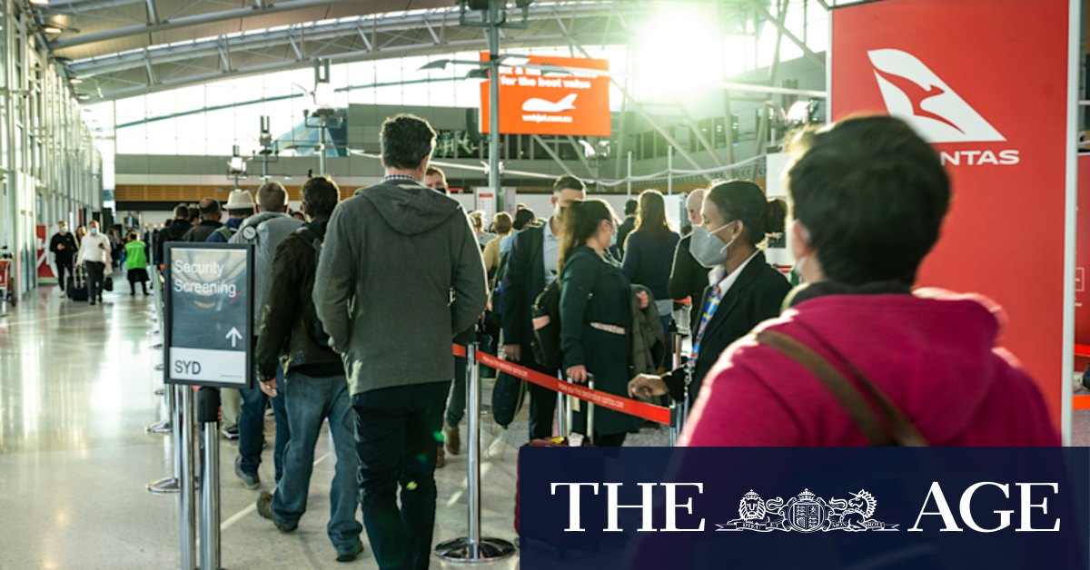 Fewer lost bags, delayed flights at Qantas as footy finals chaos looms - Vimarsana News