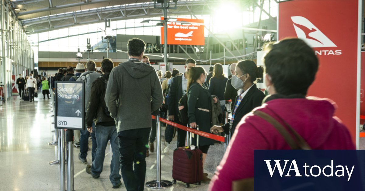 Qantas has fewer lost bags, delayed flights as AFL finals chaos looms - Vimarsana News