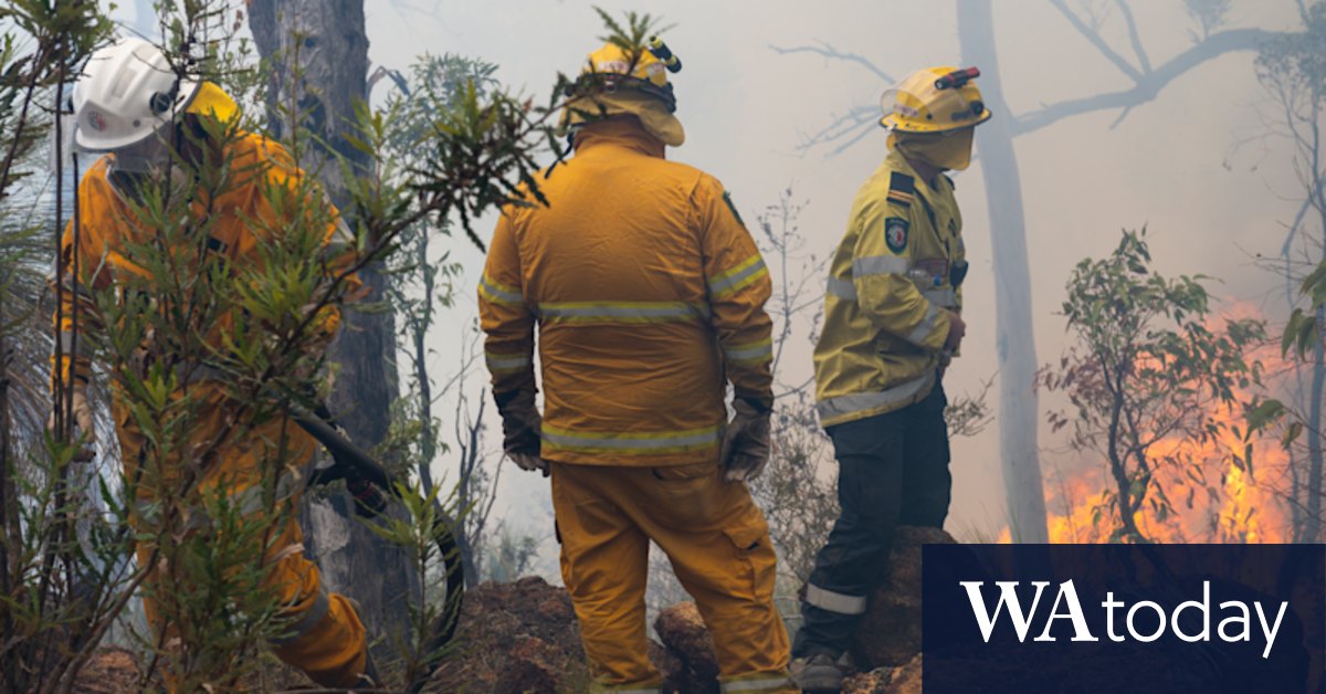 WA bushfires: Environment watchdog wants scientific probe of Western ...