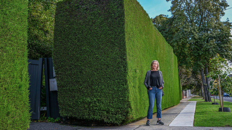 Hedge fund: Eastern suburbs property owners pay for footpath takeover