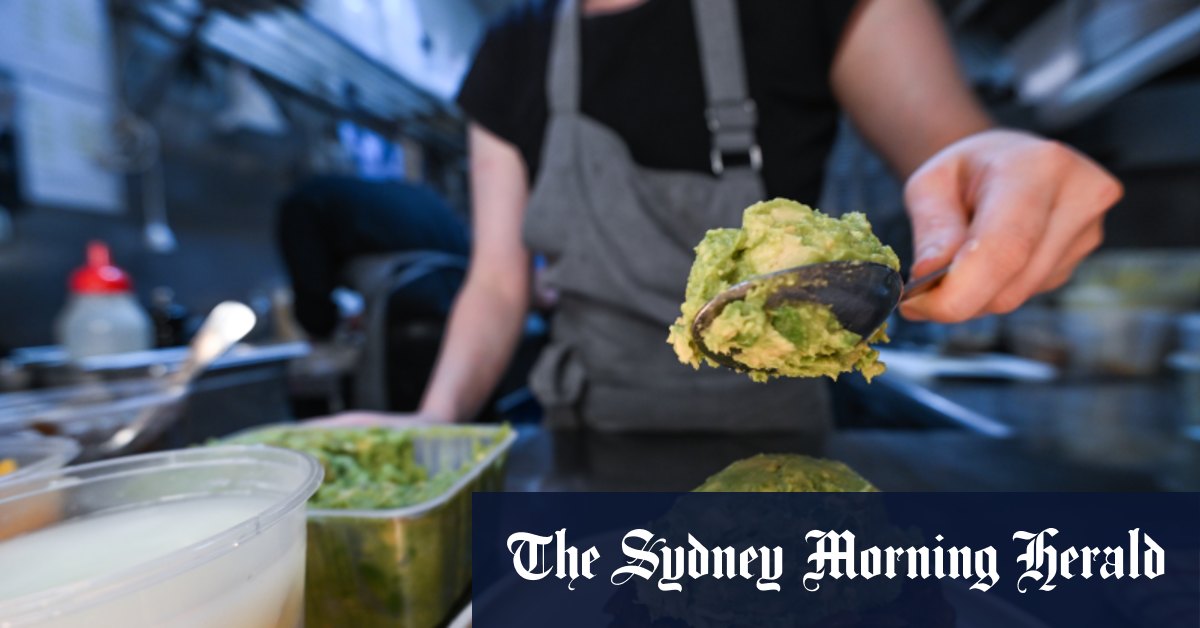 ‘Matter of urgency’: Fresh produce giant asks PM to help smashed avocado industry‘Matter of urgency’: Fresh produce giant asks PM to help smashed avocado industry