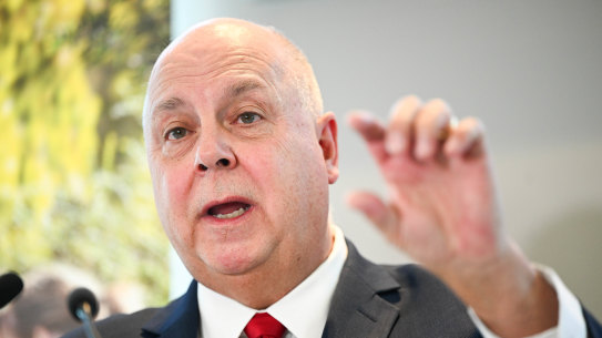 Victorian Treasurer Tim Pallas hands down the 2024 Victorian budget.