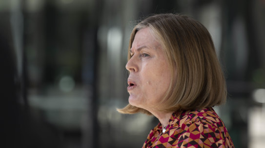 NSW Health Officer Kerry Chant speaks to the media in April about the influenza season in Sydney. 