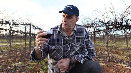 Inland red grape growers in Australia are still dealing with the fall-out of China’s hefty tariffs on Australia’s wine industry.